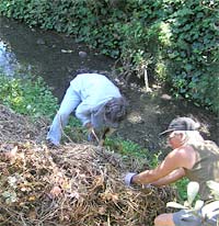 Friends of Five Creeks, Invasive Weeds Week 2005