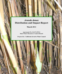  Arundo donax: Impacts and Distribution