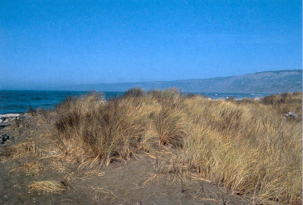 d-amphetamine salt combo 20mg prescription prices