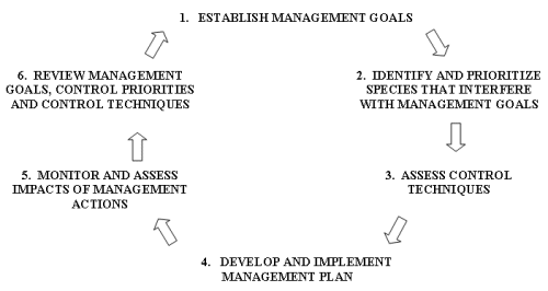 Management By Objectives. goals and objectives;