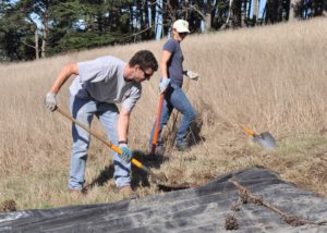 Habitat restoration projects are made possible through member support.