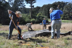 Volunteer workday tarping weeds in the Presidio
