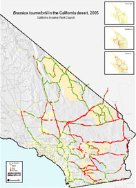 Cal-IPC worked with the Great Basin Institute to survey over 3,000 miles of roadway for B. tournefortii in 2005
