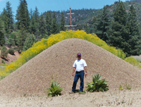 Gravel pile with invasive plants