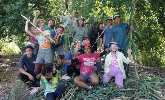 volunteers