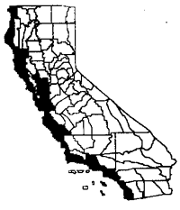 delairea-map