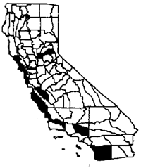 ehrharta-cal-map