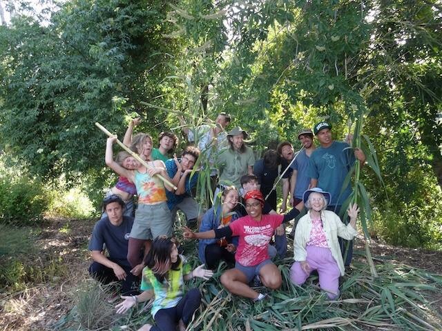 Volunteers celebrate weed pull day