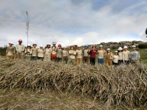 ACE restoration crew standing tall and proud with a pile of cut Arundo by Julia Parish