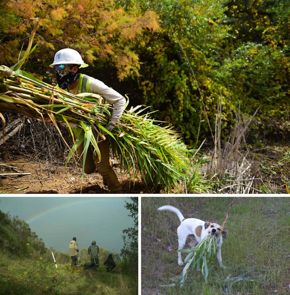 Photo Contest Winners 2019