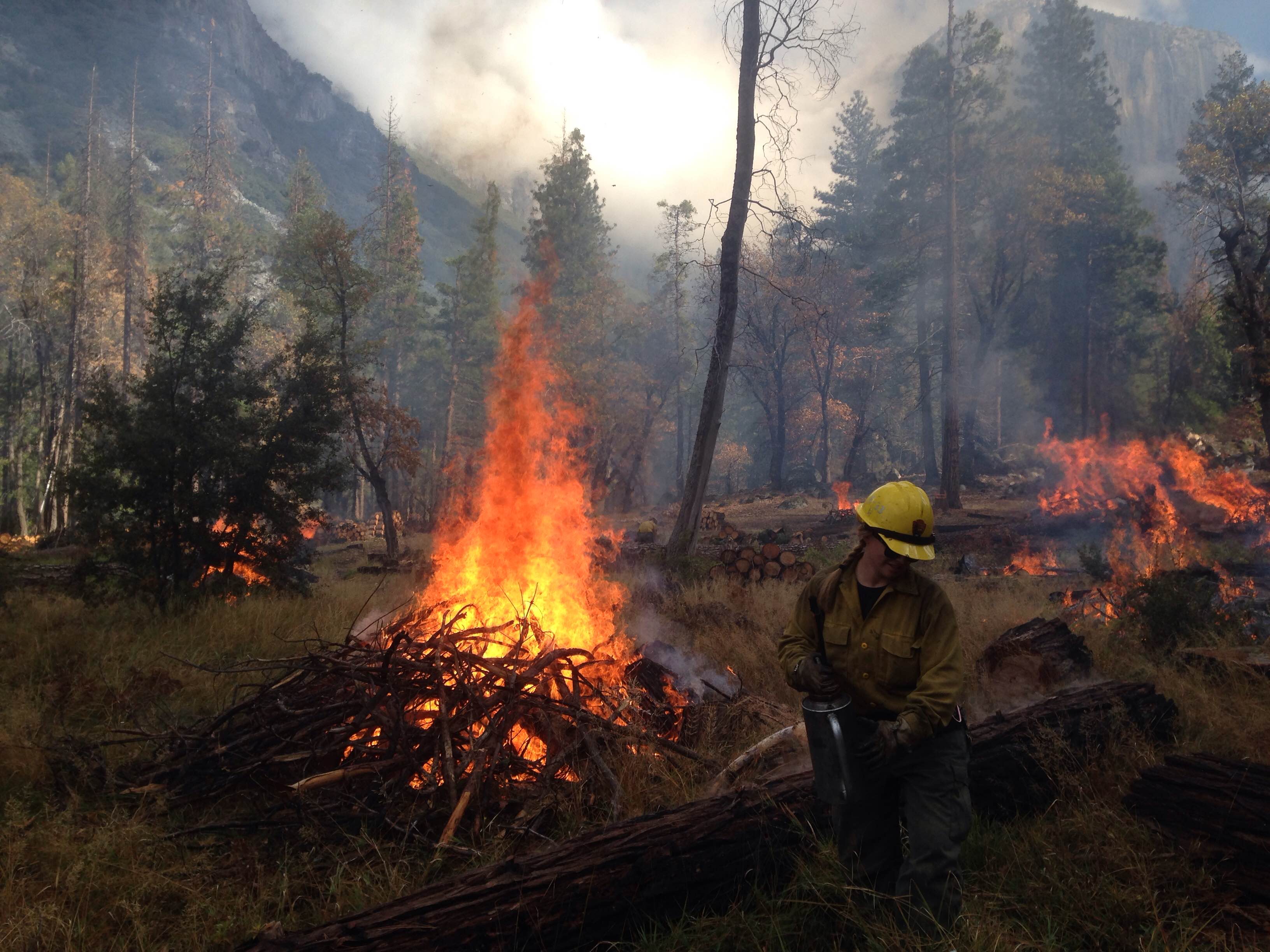 Burning debris piles in Bridalveil Meadow, Yosemite National Park