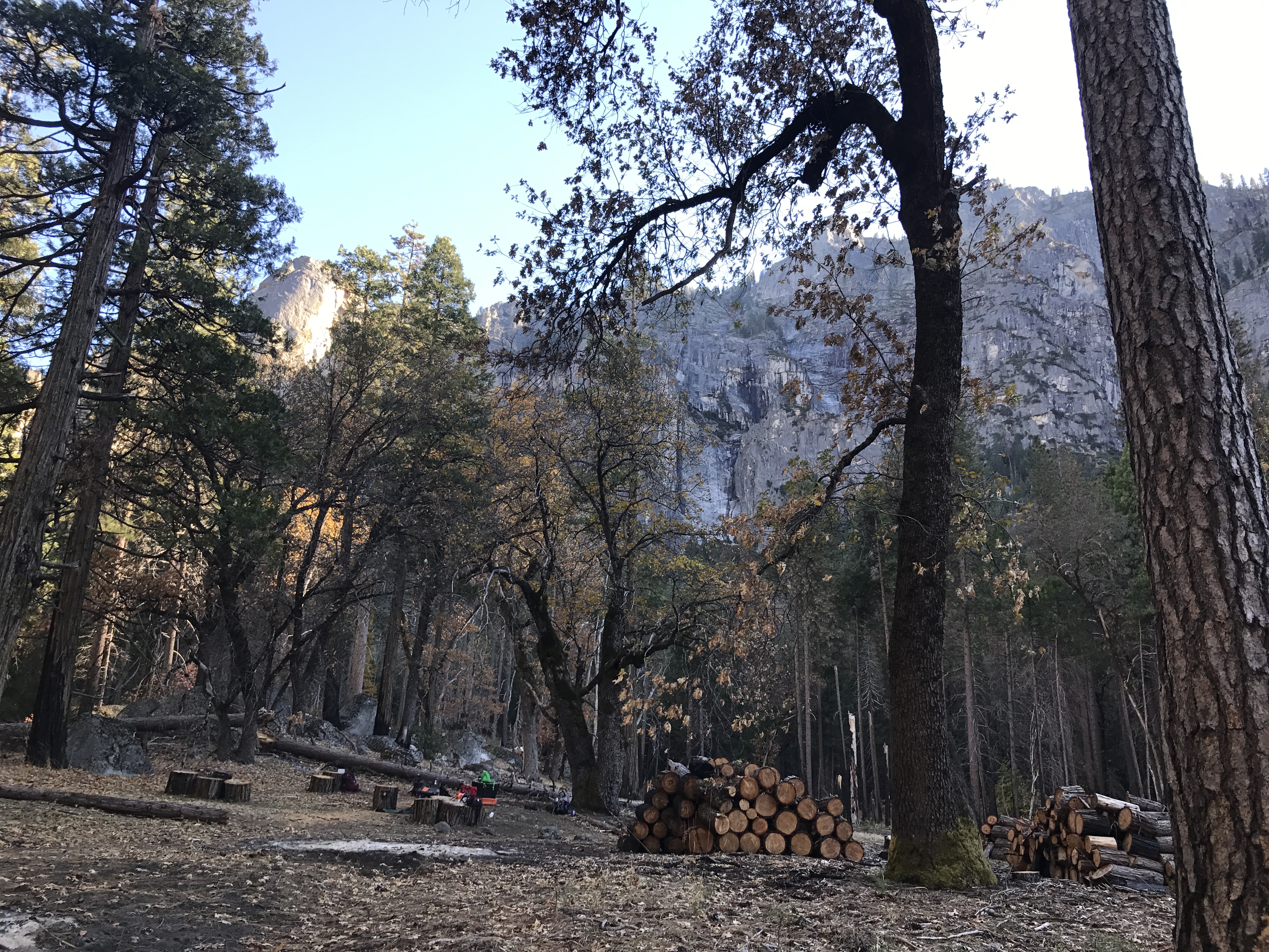 Stacking and piling dead conifers in Yosemite National Park