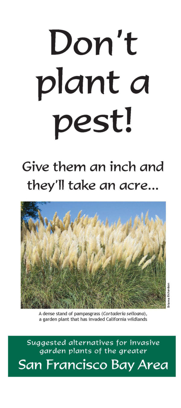 Don't Plant a Pest Brochure: BayArea