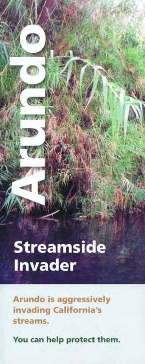 Arundo streamside invader brochure