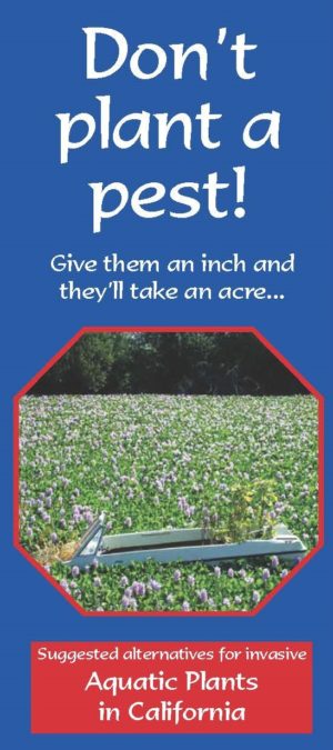 Don't Plant a Pest Aquatic Plants California brochure