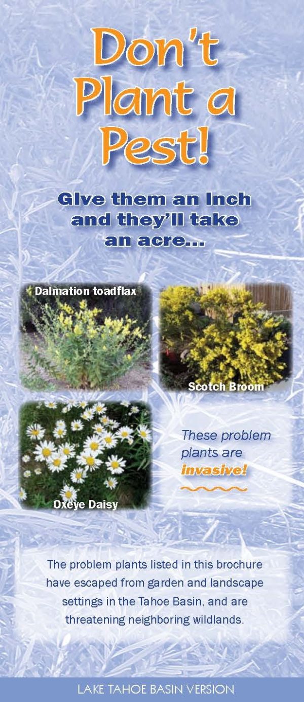 Don't Plant a Pest Lake Tahoe Basin brochure