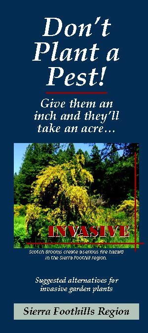 Don't Plant a Pest Sierra Foothills brochure cover