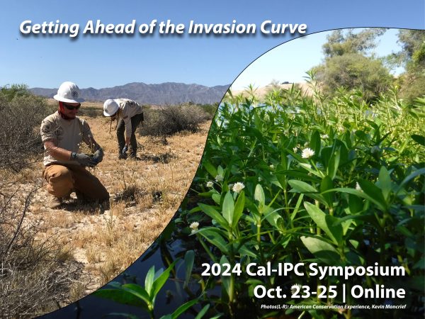 Collage image split by rising curve from left to right with a man and woman in hard hats hand pulling weeds in the left and bright green alligator weed with white flowers invading a water way on the right header text overlay Getting Ahead of the Invasion Curve 2024 Cal-IPC Symposium Online, Oct. 23-25