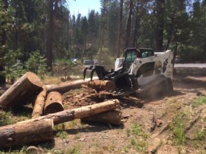 Tree_mortality_Sierra_moving logs_Kevin_Wright