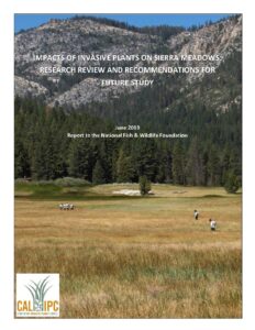 Report cover featuring restoration crews walking through a Sierra Meadow