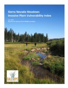 Report cover with picture of researchers walking through a Sierra Meadow by a stream