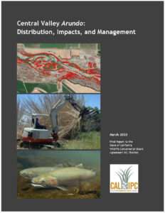 Cover image of 2020 Central Valley Arundo Report