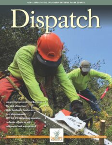 Newsletter cover with two people using chainsaws and large clippers to cut woody plants