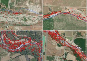 Maps of Arundo distribution, marked in red, along streams