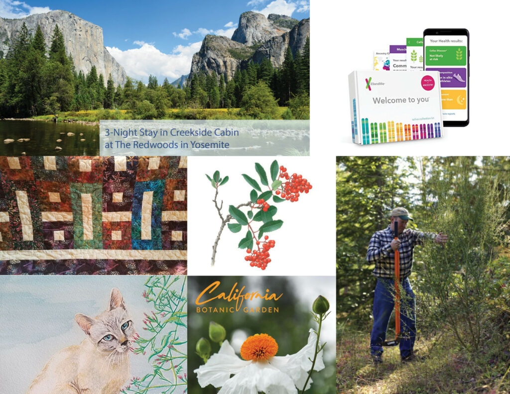 grouped images of Yosemite, watercolor paintings of flowers, genetic test kit,