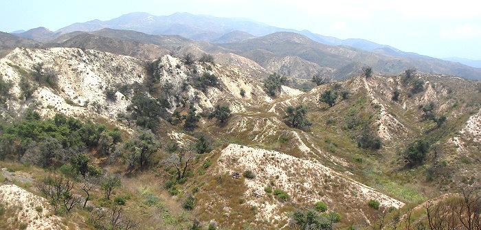 Hilly landscape with low shrubs and dry grasses