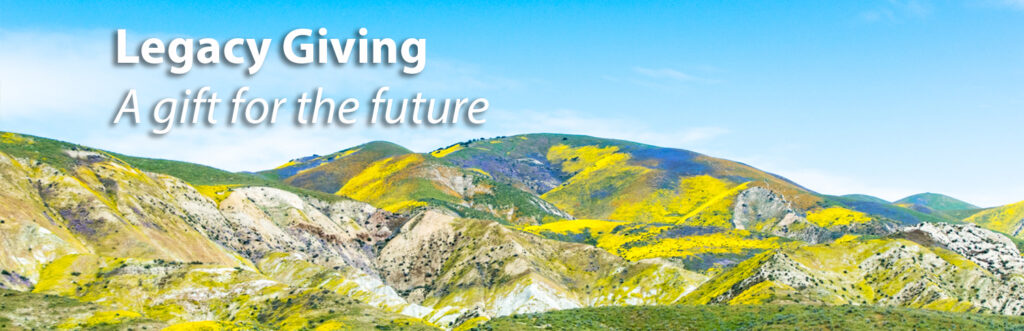 rolling hills covered in yellow and blue flowers under a blue sky with text Legacy Giving a gift for the future