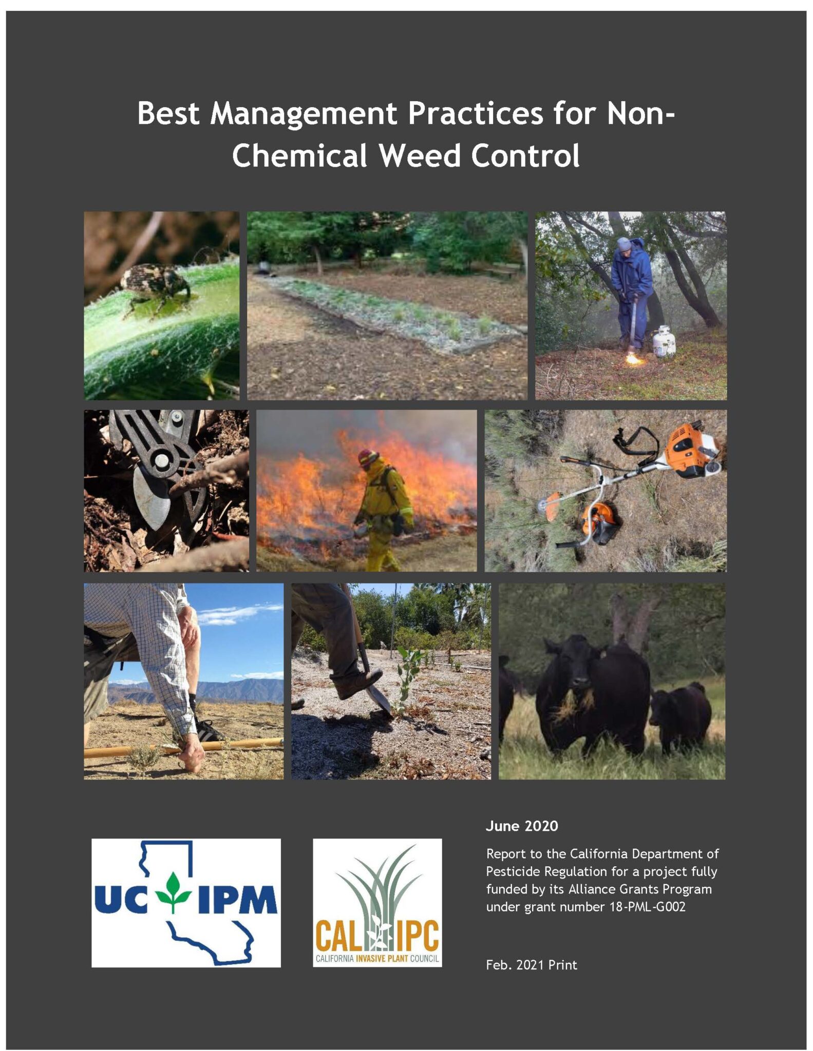 BMPs for NonChemical Weed Control California Invasive Plant Council
