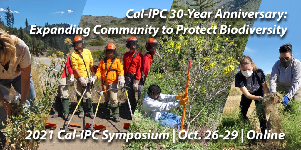 Composite image of a woman bent forward to examine a tall whitetop plant with yellow flowers, a group of people in helmets posing with string trimmers, a young man uses an orange weed wrench to pull out a yellow flowering genista plant, two women in face masks work together to pull out a stinkwort plant. Text overlay reads “Cal-IPC 30-Year Anniversary: Expanding Community to Protect Biodiversity, 2021 Cal-IPC Symposium, Oct. 26-29, Online”