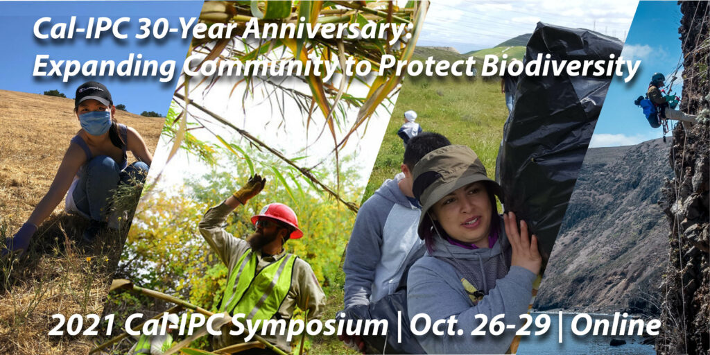 Composite image of a woman in a face mask and hat crouched to pull weeds, a man in a red hard hat reaching up to grab Arundo, a group of people with a smiling woman in the lead hauling massive trash bags, and a person in climbing gear scaling the side of a cliff over calm waters below. Text overlay reads “Cal-IPC 30-Year Anniversary: Expanding Community to Protect Biodiversity, 2021 Cal-IPC Symposium, Oct. 26-29, Online”