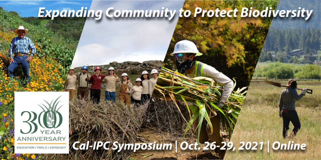 Composite image of a man in standing in a field of poppies, a mixed group of people in hardhats stand proudly atop a large brown pile of cut Arundo, a man in a hard hat and face mask hauling a load of Arundo, and a woman with a shovel over her shoulder walking through a field. Text overlay reads “Cal-IPC 30-Year Anniversary: Expanding Community to Protect Biodiversity, 2021 Cal-IPC Symposium, Oct. 26-29, Online”