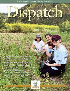 Newsletter cover with three young smiling women sitting in a field of grass and wildflowers holding measuring instruments