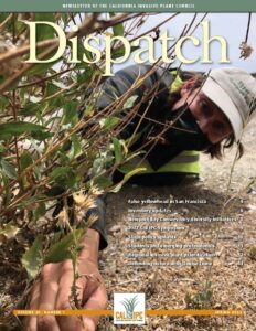 Newsletter cover of a person in a hat and face mask reaching under one leafy plant to pull a small green plant with yellow flowers