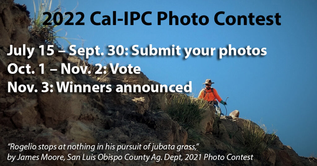 Man in orange shirt, sunhat and work clothes appears a small figure over the top of a rocky ledge, blue skies above. Text overlay reads 2022 Cal-IPC Photo Contest July 15- Sept 30 Submit photos, Oct 1 - Nov 2, vote, Nov. 3 Winners Announced