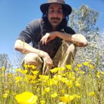 A man with long black hair and mustache in wide brimmed hat crouches over a field of yellow flowers