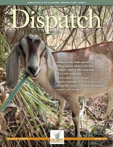 Dispatch newsletter cover with image of a light brown goat facing the camera and chewing on a long leaf. 