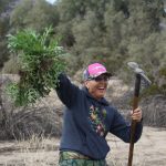 A woman in a black Cal-IPC sweater and pink hat holds up a handful of invasive plants and a pickaxe with a big smile on her face