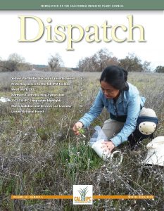 A woman with dark hair in a light blue shirt and kneepads kneels in a grassy meadow. She holds a white cup and uses a white cotton swab to apply insects to a plant.