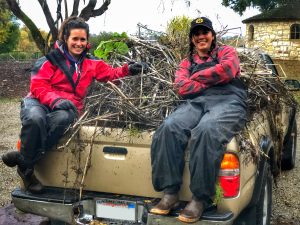 Two smiling women with dark hair in bright red jackets and dark pants site on a pile of dry French broom plants in the bed of a beige truck.