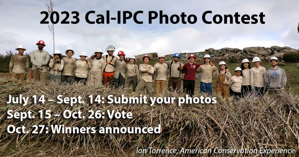 Cal-IPC’s Annual Photo Contest – California Invasive Plant Council