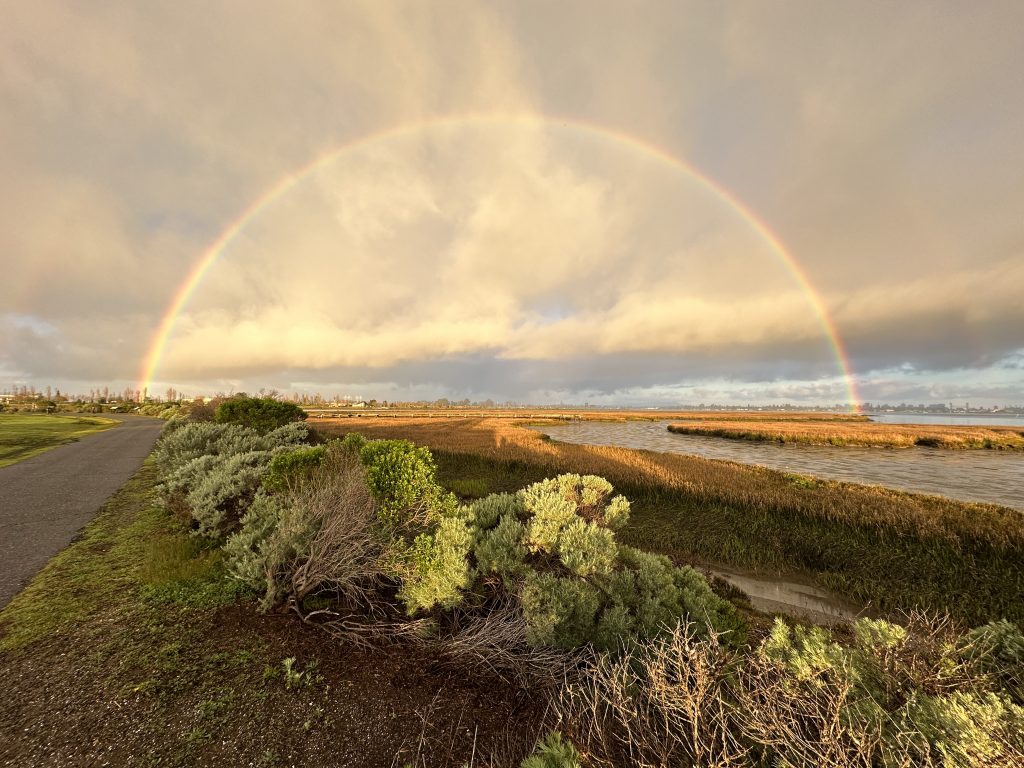 A rainbow arcs across a cloudy sky tinted pink by sunset above a light brown marshland with water channel to the right bushy green plants in center and packed asphalt path to the left