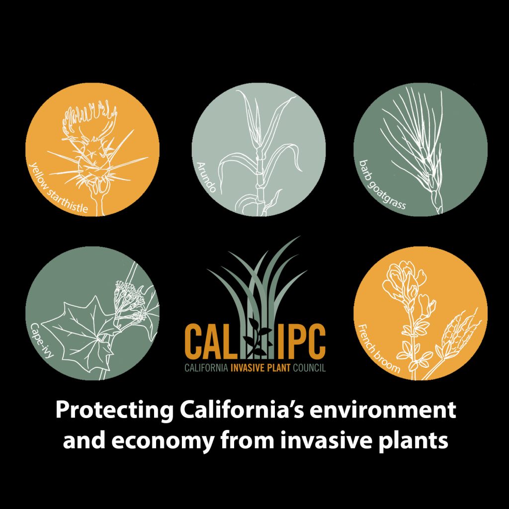 Five colored circles in shades of green and orange have hand drawn illustrations of yellow starthistle, Arundo, barb goatgrass, Cape-ivy, and French broom. Cal-IPC logo is centered, and text below reads "Protecting California's environment and economy from invasive plants." All on black background.