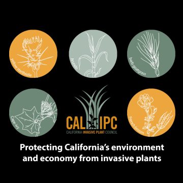 Five colored circles in shades of green and orange have hand drawn illustrations of yellow starthistle, Arundo, barb goatgrass, Cape-ivy, and French broom. Cal-IPC logo is centered, and text below reads 