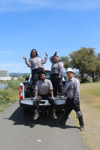 Young men and women in work uniforms sit or stand on the bed of a white truck filled with trash bags containing pulled Limonium