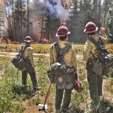 Three firefighters in protective gear and helmets watch a prescribed fire
