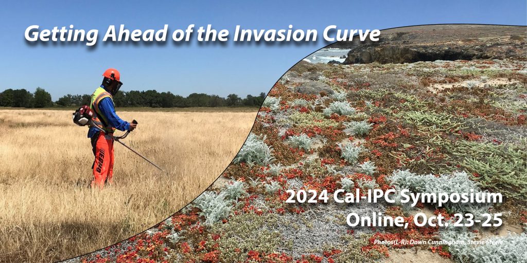 Collage image split by rising curve from left to right with a person in protective gear using a brush cutter on dry yellow starthistle in the left and mixed red and green iceplant on ocean cliffs on the right header text overlay Getting Ahead of the Invasion Curve 2024 Cal-IPC Symposium Online, Oct. 23-25